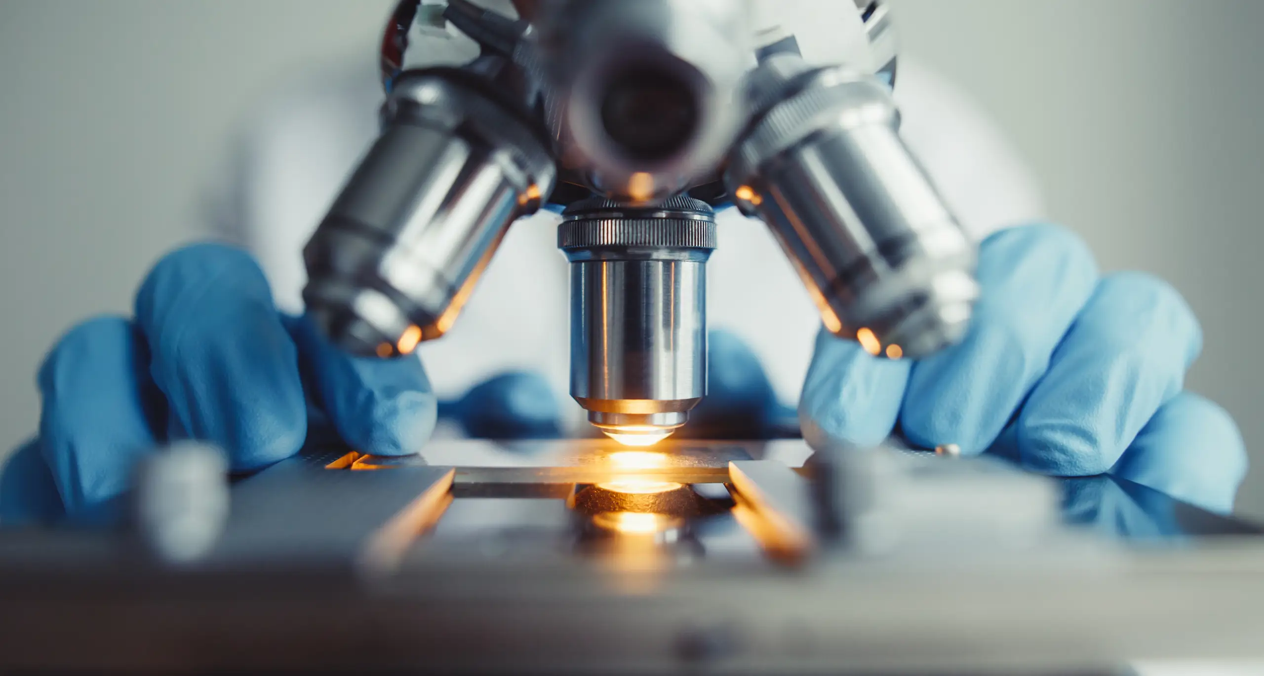 Under the microscope Under the microscope